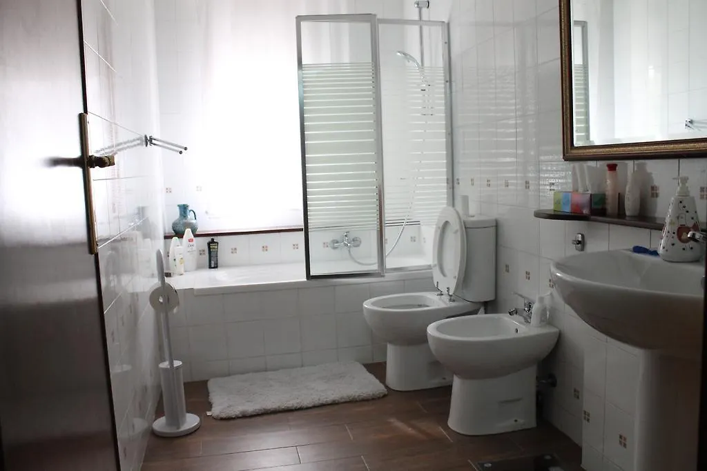 Algherooms 알게로